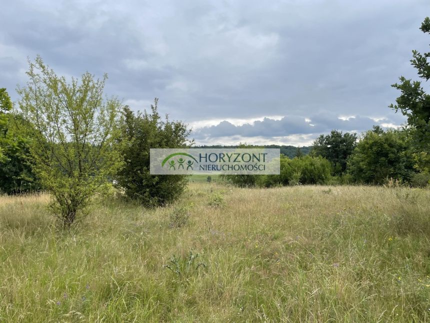 Nowa Wieś Przywidzka- dz. z panoramicznym widokiem miniaturka 10