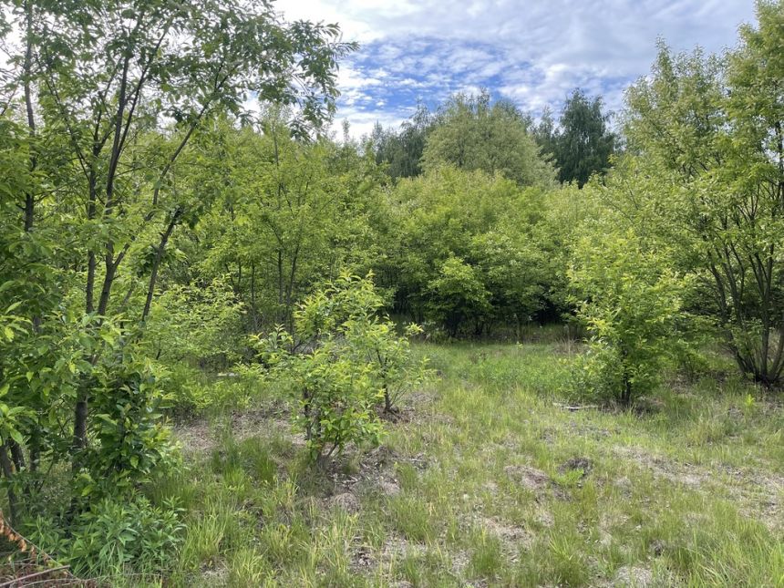 Działka budowlana 905 m² – Słupno k. Radzymina - zdjęcie 1