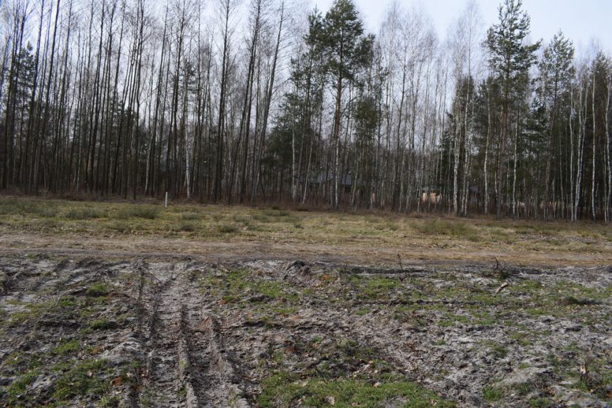 Działki 10a pod zabudowę pod lasem- Widełka miniaturka 8