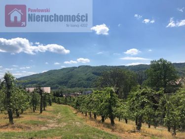 Czerniec, 250 000 zł, 18.59 ar, rolno-budowlana