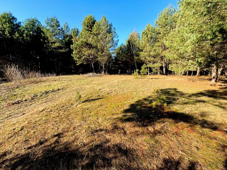 Działka leśna nad Pilicą-Ostrów gm. Aleksandrów miniaturka 9