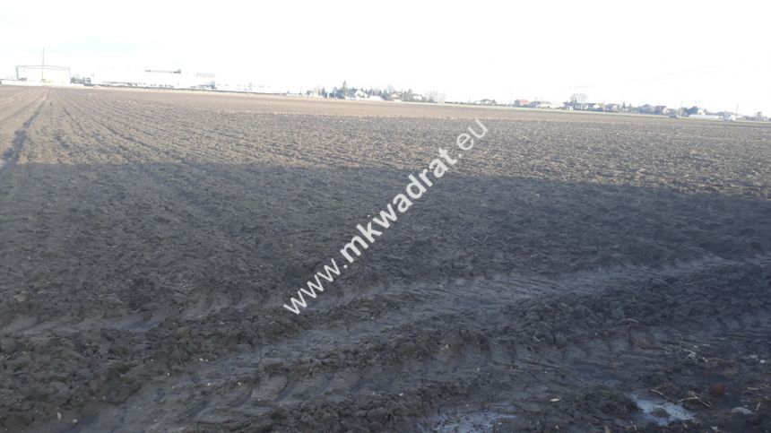 Działka rolna do wynajęcia 9730 m² 0,46 gr.za m² - zdjęcie 1