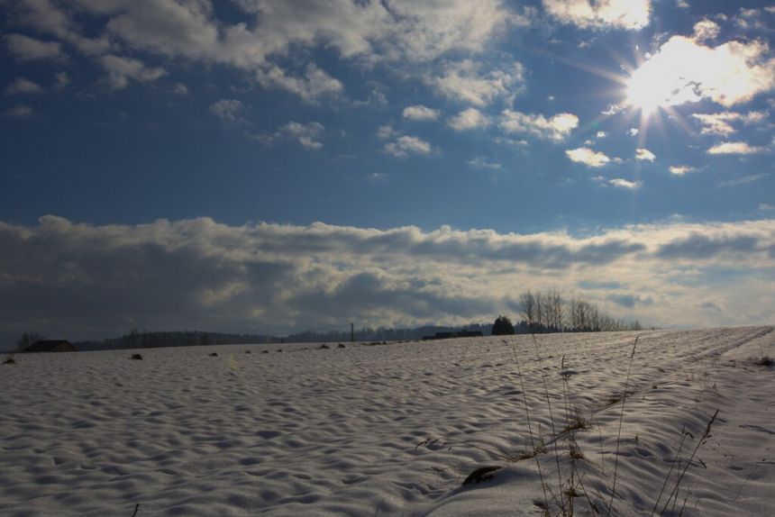 Działka rolno - budowlana (1,61ha) w Ołpinach! miniaturka 5