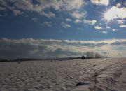 Działka rolno - budowlana (1,61ha) w Ołpinach! miniaturka 5