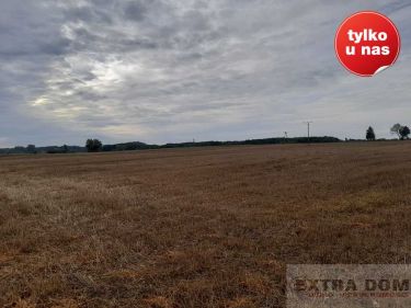 Trzebawie, 345 000 zł, 8 ha, droga dojazdowa asfaltowa