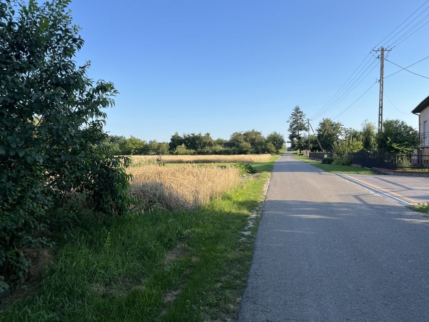 Duża działka 2,9 ha w Jabłonowie gm. Policzna. miniaturka 5