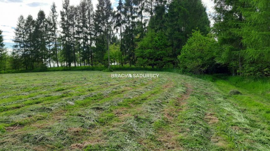 Działka budowlana 8900 m2 Poręba Żegoty miniaturka 21