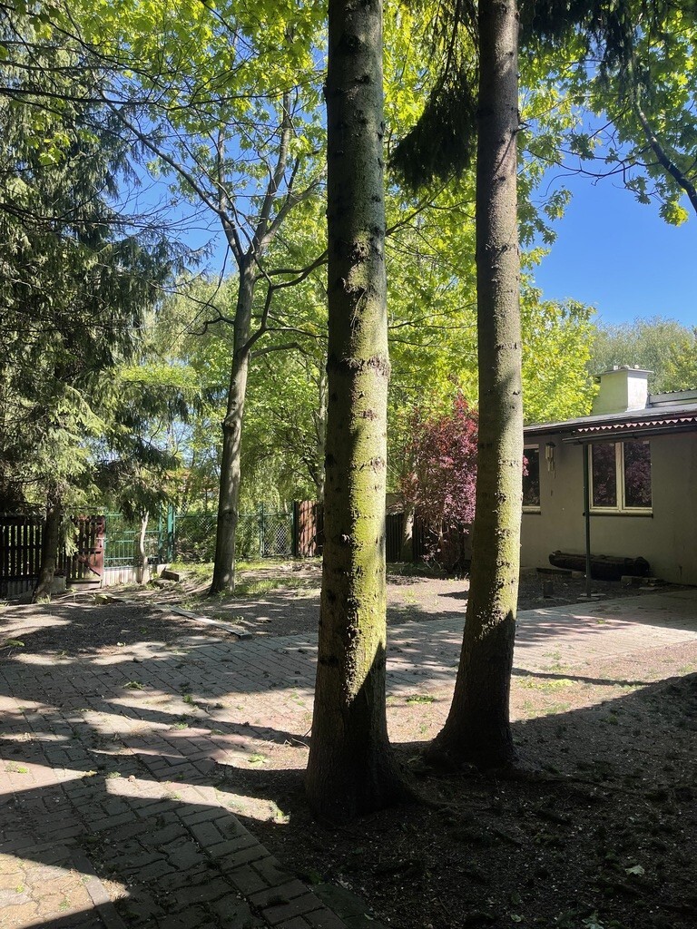 Dom o pow. 144 m² + dodatkowe mieszkanie. miniaturka 6