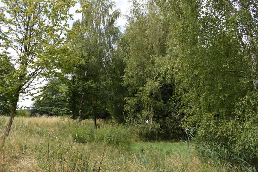 Działka pod budownictwo 29a- Krasne miniaturka 6