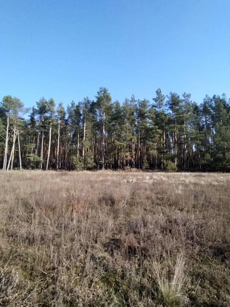 Zarośle Cienkie, 180 000 zł, 20.93 ar, budowlana miniaturka 8