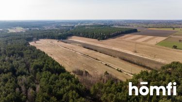 Działka rekreacyjna przy lesie i rzece Radomce