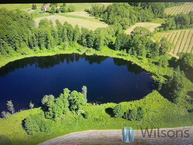 Malinka, 7 500 000 zł, 15.37 ha, droga dojazdowa utwardzona miniaturka 18