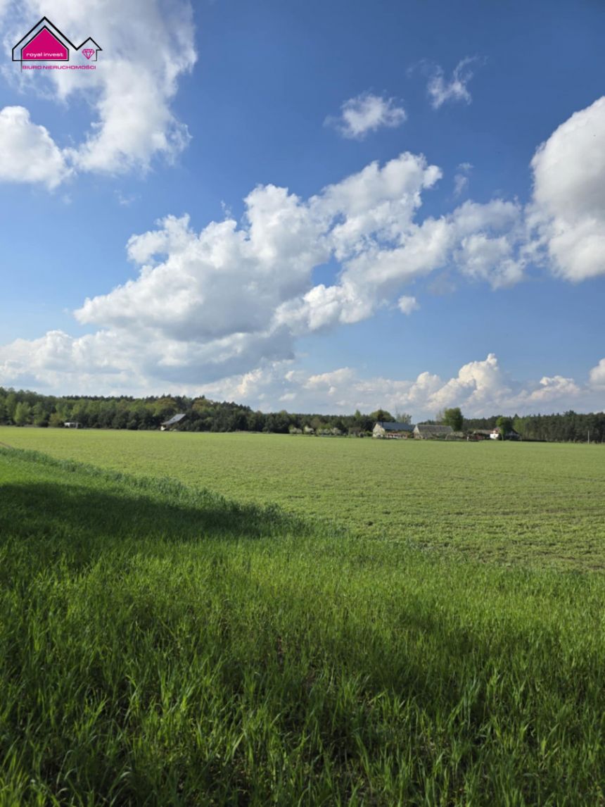 Skrzynka, 83 000 zł, 9.98 ar, rekreacyjna miniaturka 8